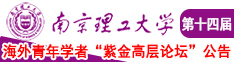 日了个美女浪逼南京理工大学第十四届海外青年学者紫金论坛诚邀海内外英才！